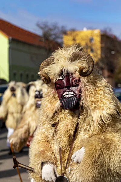 Hungary Mohacs Feb 2020 Participants Buso Walking Festival Ending Day — 图库照片