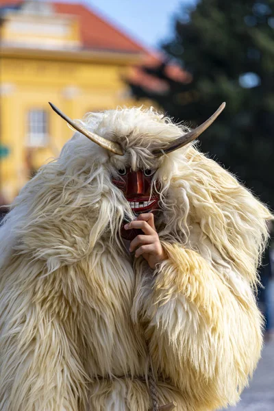 Hungary Mohacs Feb 2020 Participants Buso Walking Festival Ending Day — Stockfoto