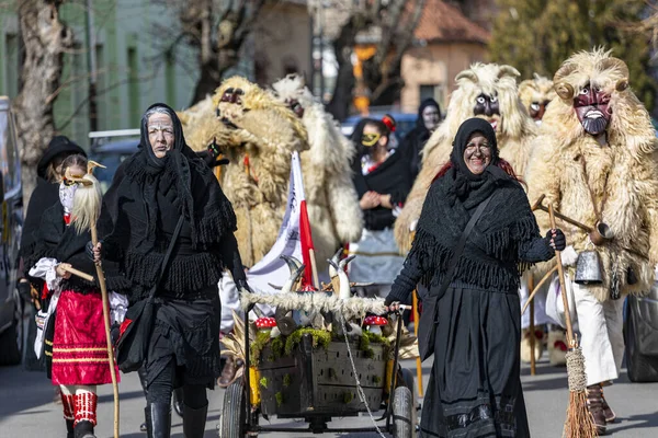 Hungary Mohacs Feb 2020 Participants Buso Walking Festival Ending Day — Φωτογραφία Αρχείου