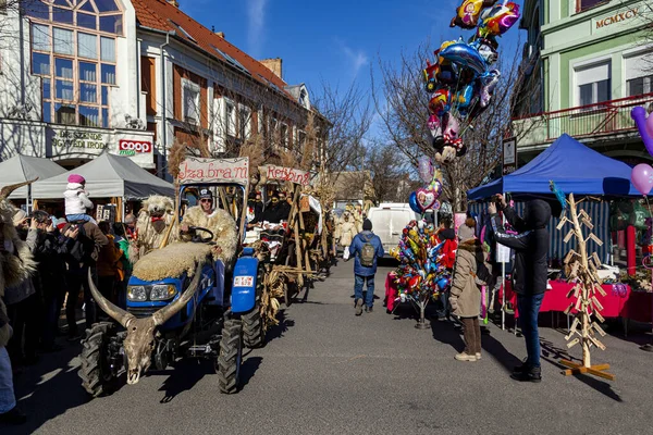 Hungary Mohacs Feb 2020 Participants Buso Walking Festival Ending Day — Stock Fotó