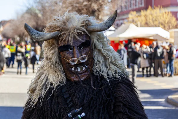 Hungary Mohacs Feb 2020 Participants Buso Walking Festival Ending Day — Stock fotografie