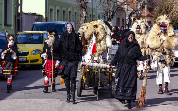 Hungary Mohacs Feb 2020 Participants Buso Walking Festival Ending Day — Zdjęcie stockowe