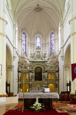 St. Laszlo Kilisesi 'nin iç dekorasyonunun neredeyse tamamı seramiklerle süslenmiş. Bir çeşit....
