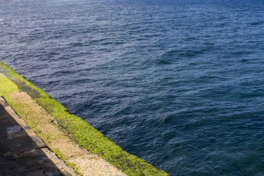 Deniz kıyısının güzel manzarası