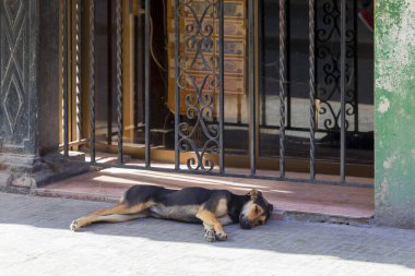  Havana, Küba - 16 Şubat 2018: Down Town 'da ve Old Havana' daki o mahallede sıradan bir hayatın tadını çıkaran kimliği belirsiz insanlar.