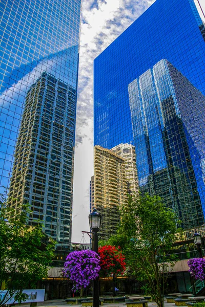 Vista Centro Calgary Com Arranha Céus Canadá — Fotografia de Stock