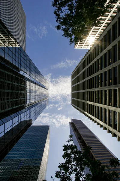 Vista Del Centro Calgary Con Rascacielos Canadá — Foto de Stock