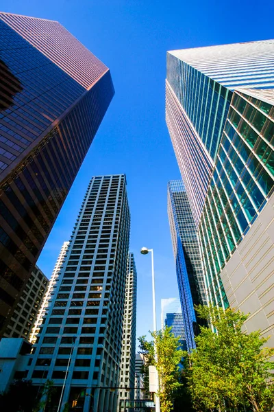 Vista Centro Calgary Com Arranha Céus Canadá — Fotografia de Stock