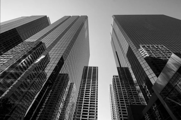 Uitzicht Calgary Centrum Met Wolkenkrabbers Canada — Stockfoto