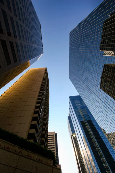 Utsikt Över Calgarys Centrum Med Skyskrapor Kanada — Stockfoto