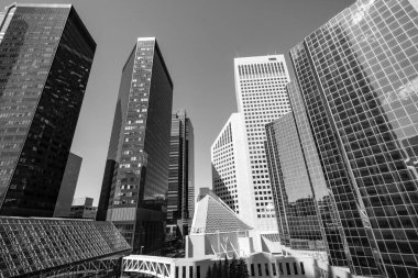 Calgary 'nin şehir merkezindeki gökdelenler manzaralı. - Kanada