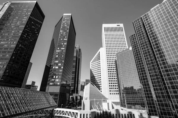 Calgary 'nin şehir merkezindeki gökdelenler manzaralı. - Kanada