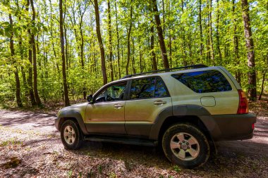 Macaristan Tuna Nehri 13, 2020: Toyota 4Runner SUV bir orman yolunda ilerliyor. 