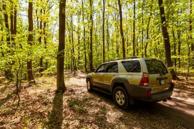 Macaristan Tuna Nehri 13, 2020: Toyota 4Runner SUV bir orman yolunda ilerliyor. 