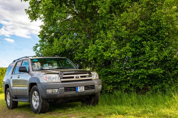 Hungria Rio Danúbio 2020 Toyota 4Runner Suv Touring Forestry Track — Fotografia de Stock