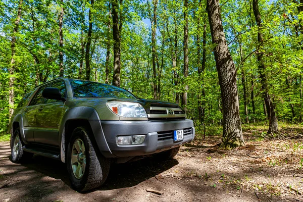 Hungría Danubio 2020 Toyota 4Runner Suv Recorriendo Una Pista Forestal — Foto de Stock