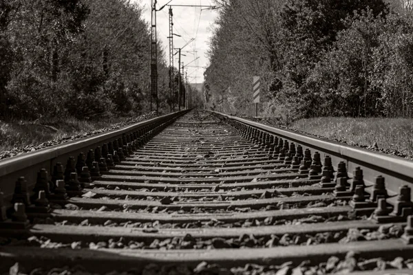 Ein Langer Abschnitt Der Eisenbahnstrecke Mit Stromleitung Land — Stockfoto