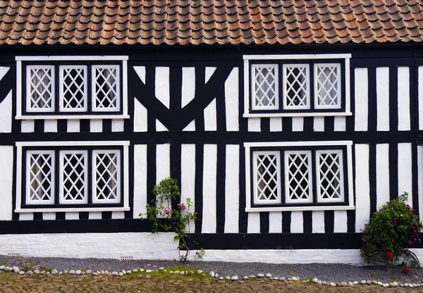 Mock Tudor casa — Fotografia de Stock