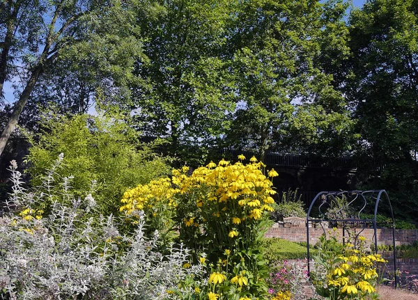 Ogród letni w kraju Obrazek Stockowy