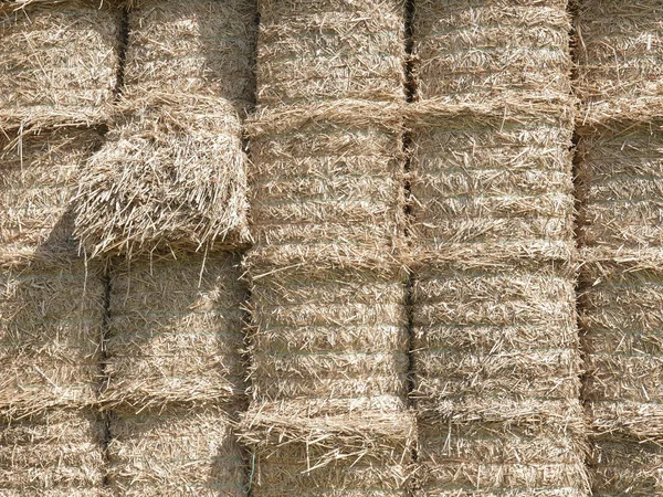 Stacked straw bales — Stock Photo, Image