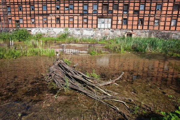 Νησί Mill Pond στο Bydgoszcz — Φωτογραφία Αρχείου