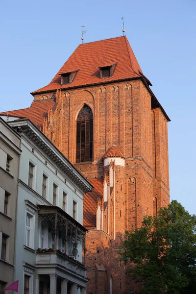 Basiliek toren van de kathedraal van de gotische in Torun — Stockfoto
