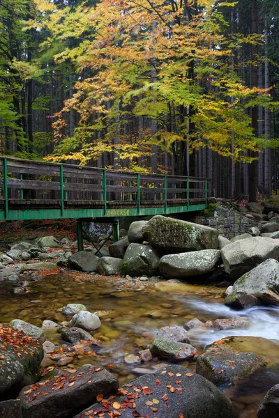 Puente a través del arroyo en el bosque de otoño — Foto de Stock