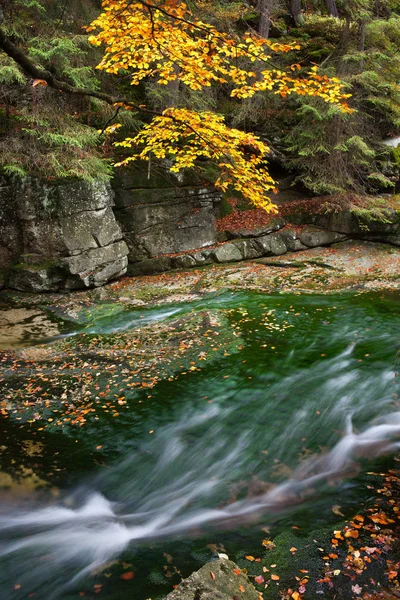 Stream i hösten landskap — Stockfoto