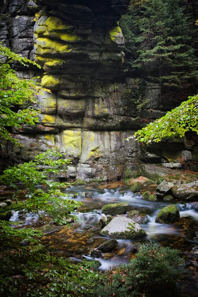 Fluxo de Szklarka nas montanhas Karkonosze — Fotografia de Stock