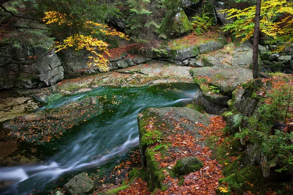 Pequeño arroyo en el bosque de montaña — Foto de Stock