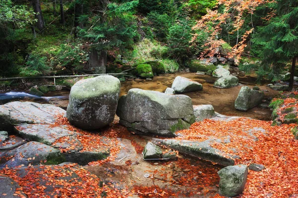 Hojas caídas en Creek en el bosque de otoño — Foto de Stock