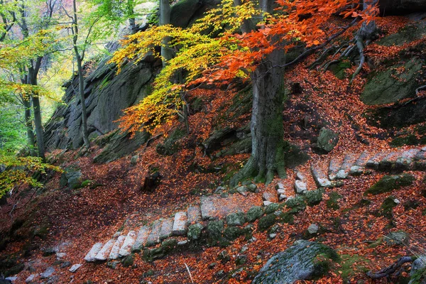 Berg trappen in de herfst — Stockfoto