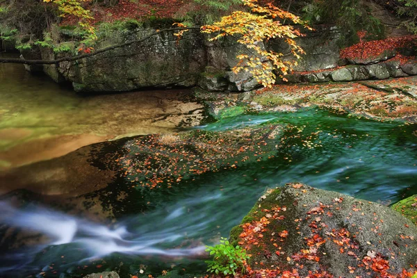 Horský potok na podzim — Stock fotografie
