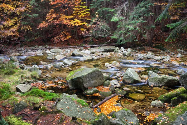 Stream in herfst bergbos — Stockfoto