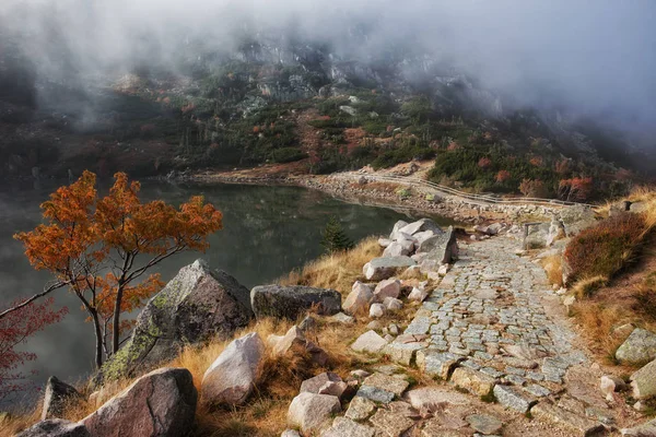 Trail på liten damm i Karkonosze-bergen — Stockfoto