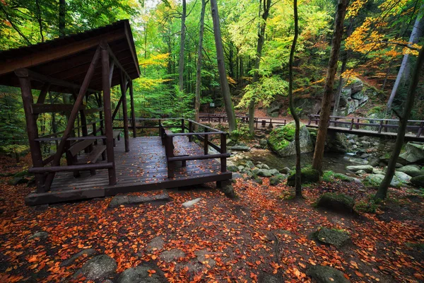 Refugio junto al arroyo en el bosque de otoño — Foto de Stock