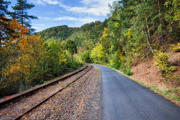 Landelijke weg en spoorlijn langs herfst bos — Stockfoto