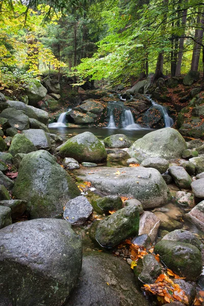 Potok s malým spadá v horském lese — Stock fotografie