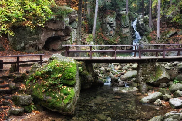 Puente sobre el arroyo en el bosque de montaña — Foto de Stock