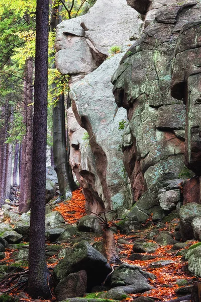 Grote stenen in bergbos — Stockfoto