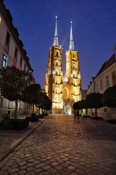 Kathedrale bei Nacht in der Stadt Breslau — Stockfoto