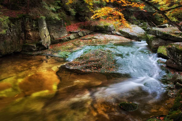 Pequeño arroyo en bosque de montaña de otoño — Foto de Stock