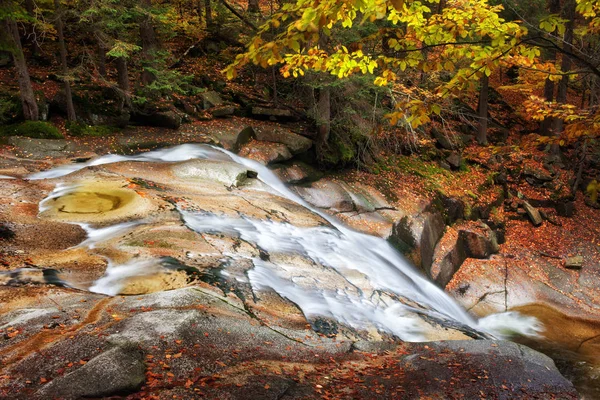 Bach im herbstlichen Bergwald — Stockfoto