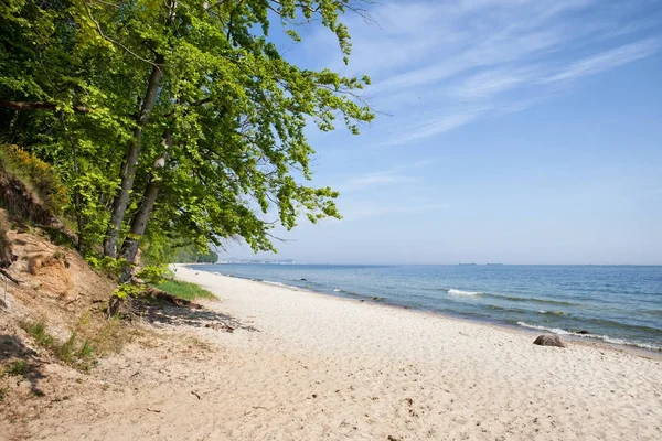 Sandy Beach Baltık Denizi Gdynia adlı — Stok fotoğraf