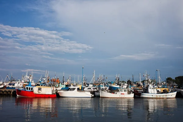 Port i Wladyslawowo by i Polen - Stock-foto