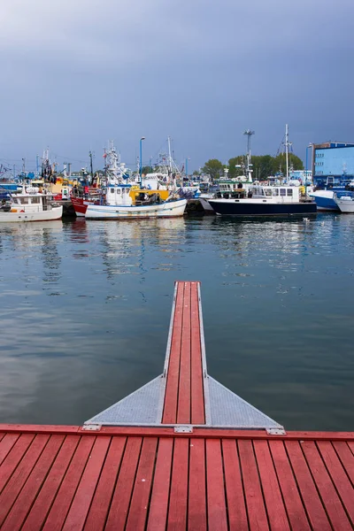 Wladyslawowo limanda — Stok fotoğraf