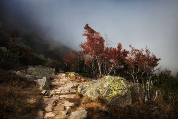 Path In Misty Mountains — Stock Photo, Image