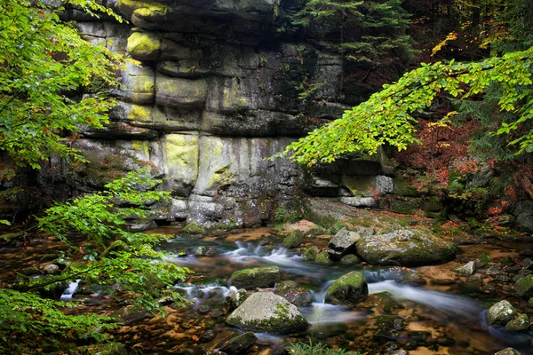 Proudu a Cliff v horském lese — Stock fotografie