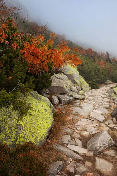 산 경사면에 경로 — 스톡 사진