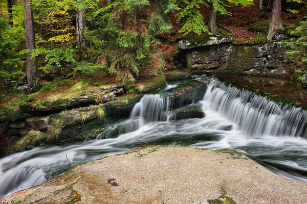 Kaskadierender Bach im Bergwald — Stockfoto